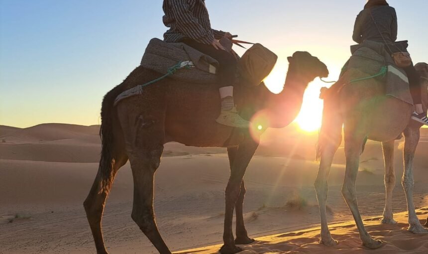 Discover the Moroccan Sahara: A Complete Travel Guide & Tips